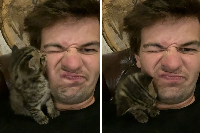 Acabo de encontrar a esta niña en el trabajo. Estoy bastante seguro de que esto significa que ahora me han adoptado