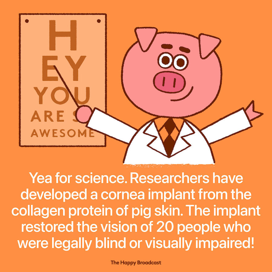 I’m Honestly Fed Up With All The Bad News, So I Illustrated 40 Of The Best Ones From 2022