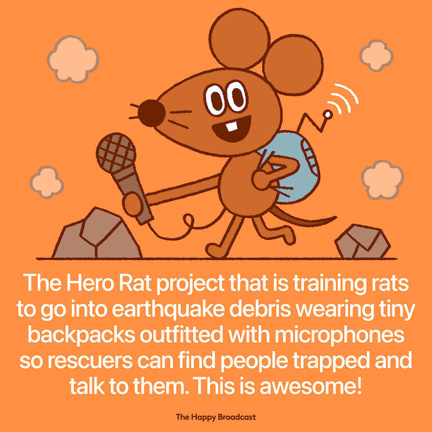 I’m Honestly Fed Up With All The Bad News, So I Illustrated 40 Of The Best Ones From 2022