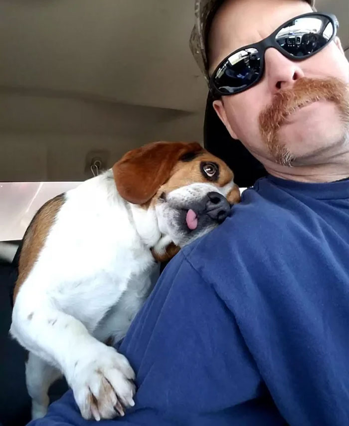 Un cachorro de Beagle se abraza al rescatador que lo salvó de la eutanasia. Una bonita historia de rescate de un perro en el centro de acogida y adopción del condado de Franklin, en Ohio