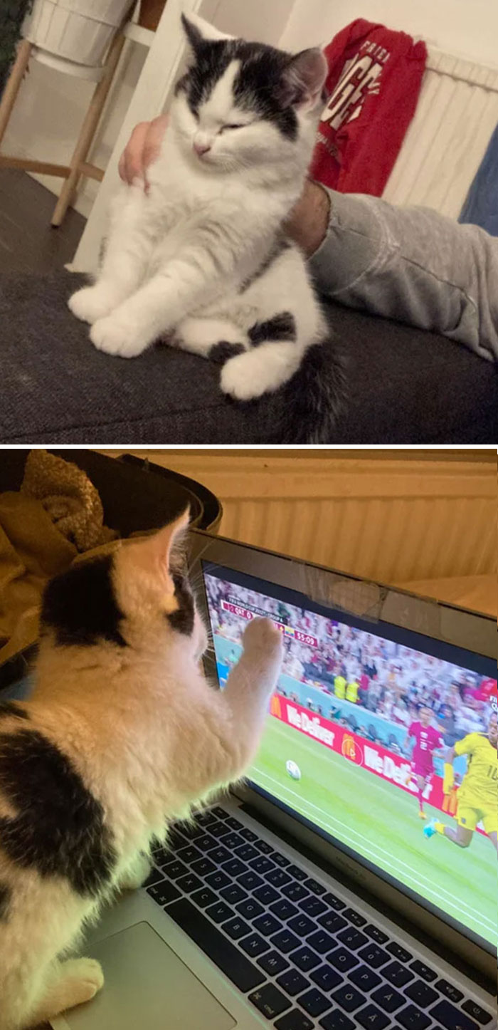 Adopted This Little Adorable A**hole Today