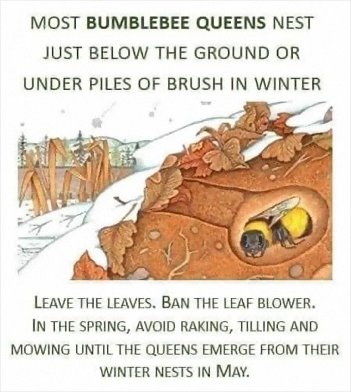 Rich-vs.-Poor-Class-Wars-Posts