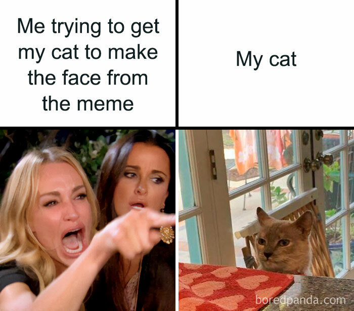 Me😾irl