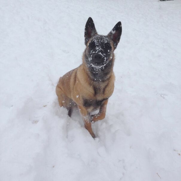 She Thinks Snow Is Tasty