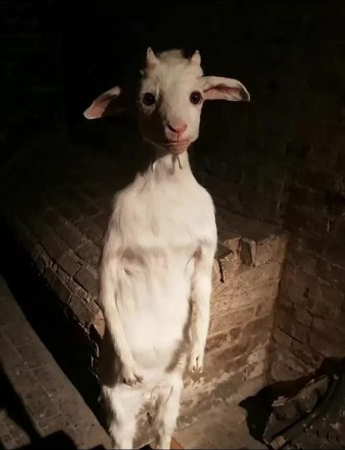 40 Times People Saw An Object With A Threatening Aura And Just Had To Share It With Others