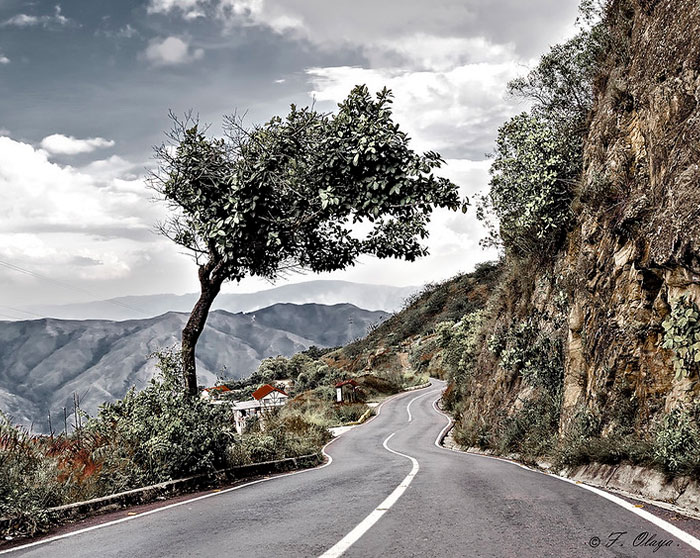 30 Weird Things About Europe That Europeans Don't Realize Are Weird