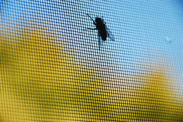 30 Weird Things About Europe That Europeans Don't Realize Are Weird