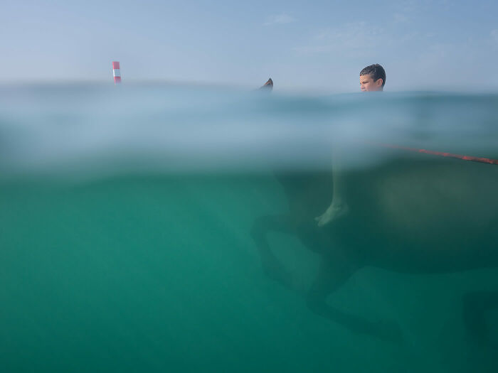 Horse And Rider © Ann Prochilo