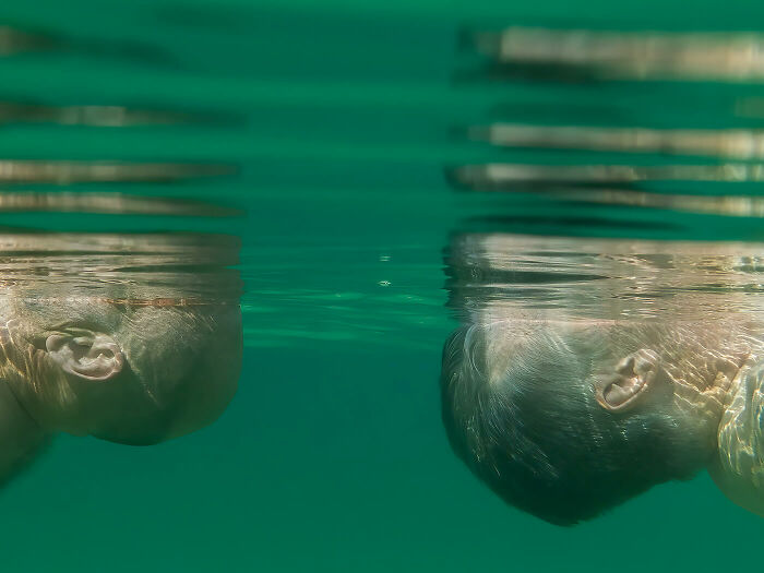 Ships Passing © Ann Prochilo