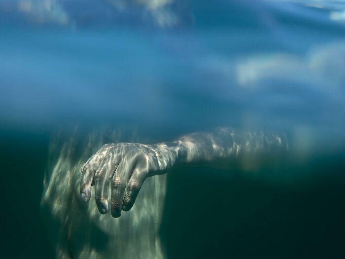 Reach © Ann Prochilo