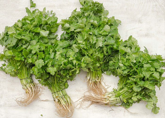 "Today I Learned": 40 Interesting Things About The World That People Didn't Know Until Recently (New Pics)