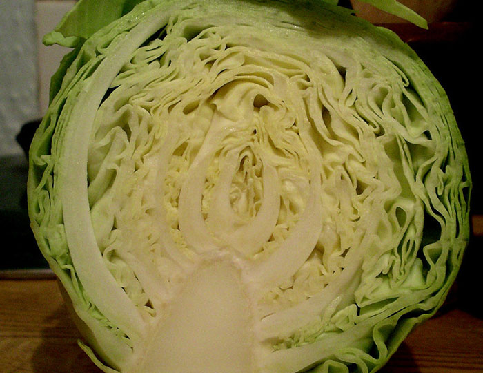 35 Consejos e ideas para ahorrar dinero con la comida de forma genial