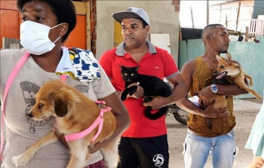 In Brazil, Dogs Make Homeless Children's Lives A Little Less Sad (30 Pics)