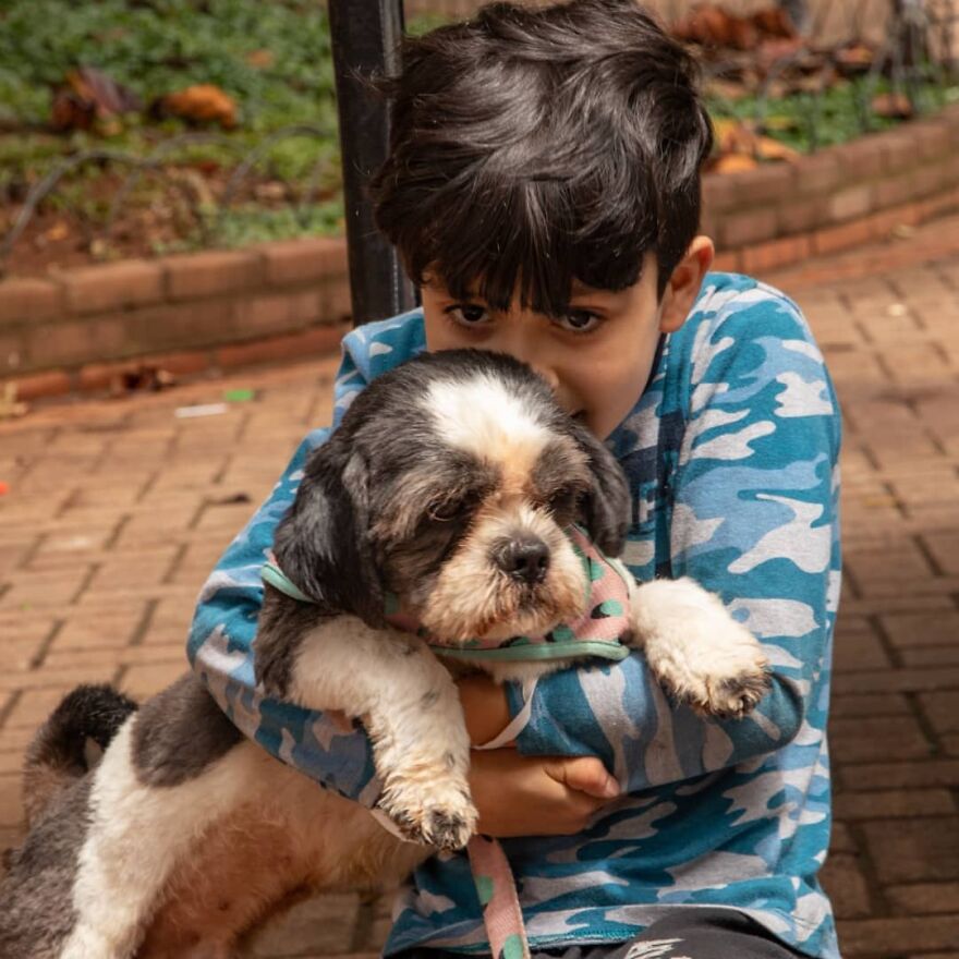 In Brazil, Dogs Make Homeless Children's Lives A Little Less Sad (30 Pics)
