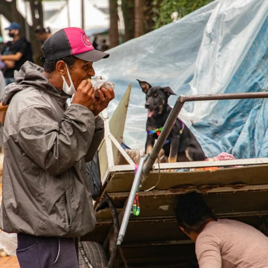 In Brazil, Dogs Make Homeless Children's Lives A Little Less Sad (30 Pics)