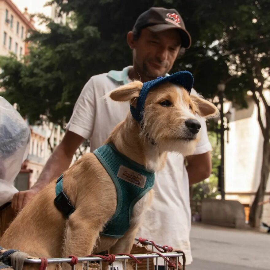 In Brazil, Dogs Make Homeless Children's Lives A Little Less Sad (30 Pics)