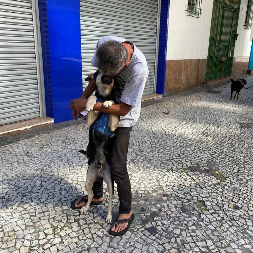 In Brazil, Dogs Make Homeless Children's Lives A Little Less Sad (30 Pics)