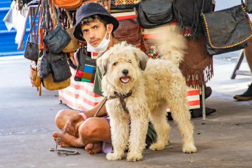 In Brazil, Dogs Make Homeless Children's Lives A Little Less Sad (30 Pics)