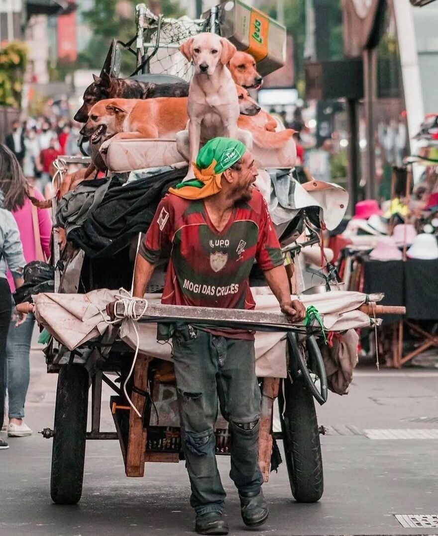 In Brazil, Dogs Make Homeless Children's Lives A Little Less Sad (30 Pics)
