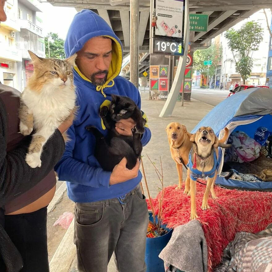 In Brazil, Dogs Make Homeless Children's Lives A Little Less Sad (30 Pics)