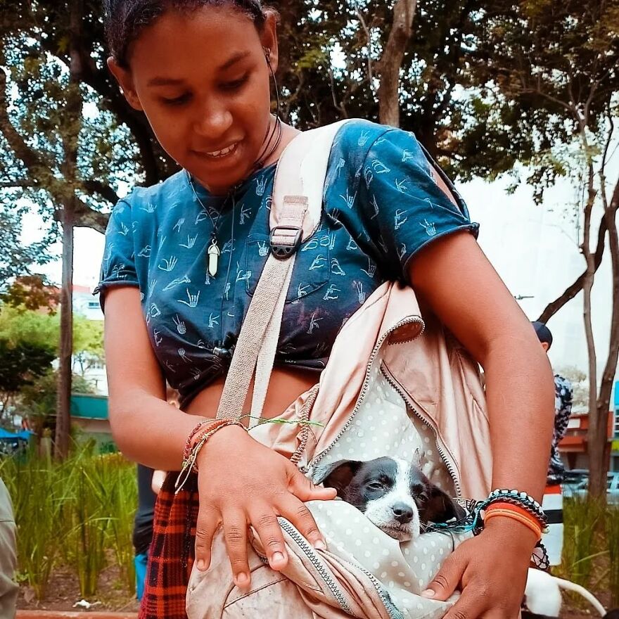 In Brazil, Dogs Make Homeless Children's Lives A Little Less Sad (30 Pics)