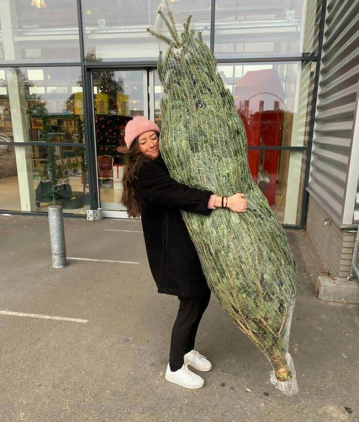 Somehow I Finally Got My First Christmas Tree Today