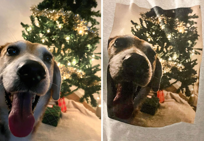 We Had To Hospitalize Our 5-Year-Old Pup For Possible Brain Cancer. I've Been Struggling Being Away From Him, So My Husband Came Home With An Early Christmas Present