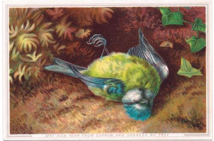 What Do We Want? Dead Christmas Birds! When Do We Want Them? Now!