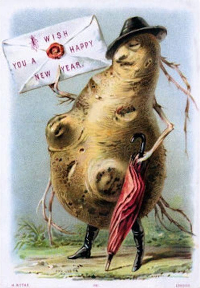 Have No Fear, 2022 Root Vegetable Man Is Here!