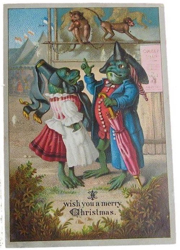 Oh, God, The Christmas Frogs Are Here