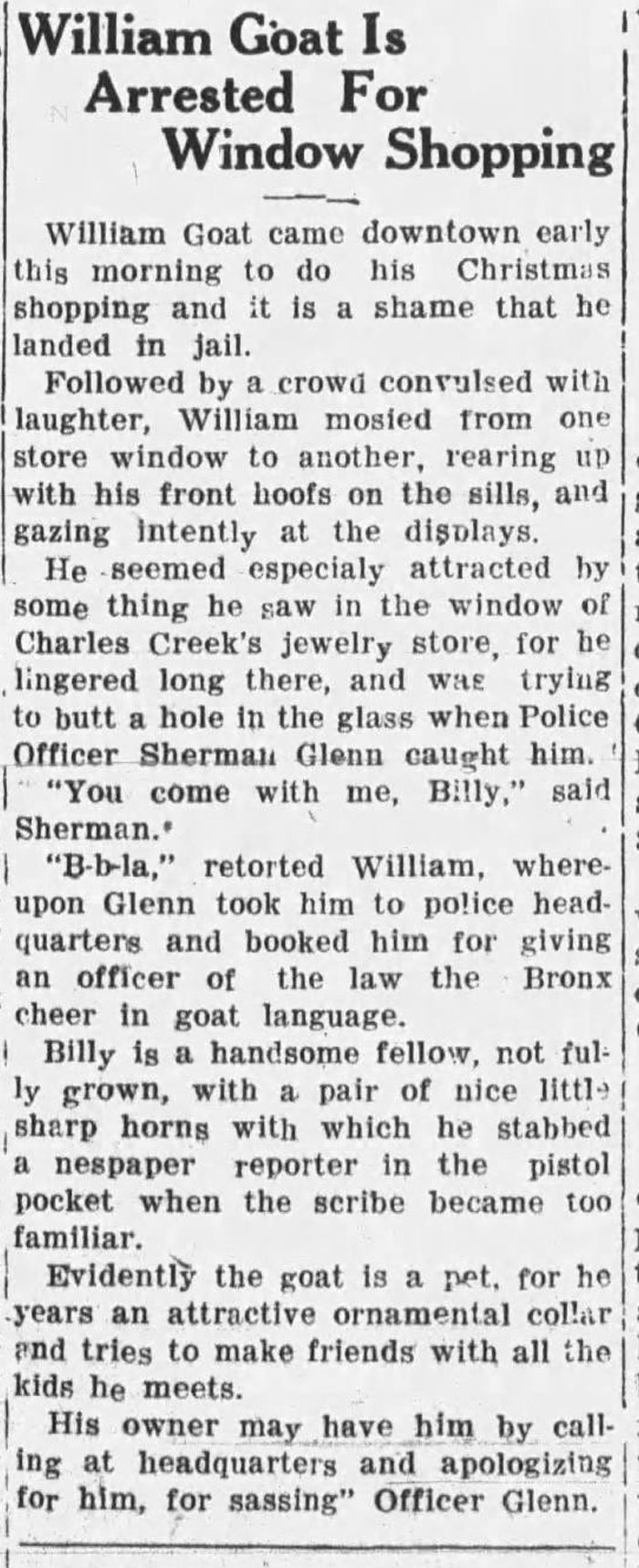 Meanwhile, In The World Of Christmas Goats... (Urbana Courier 1933