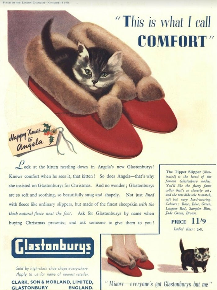 Angela, Give That Kitten Your Slippers