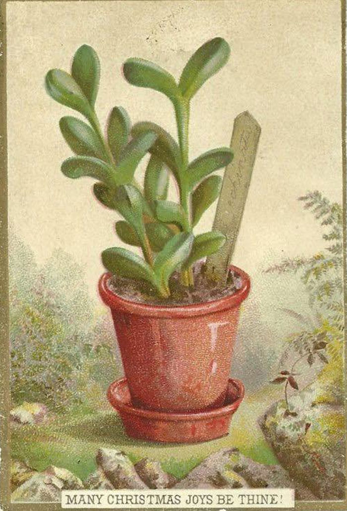 Tell Me You’ve Run Out Of Christmas Illustrations Without Telling Me You’ve Run Out Of Christmas Illustrations