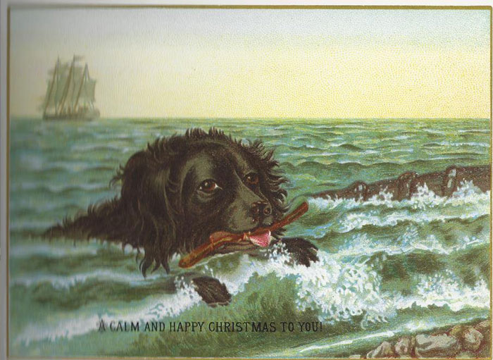 Tell Me You’ve Run Out Of Christmas Illustrations Without Telling Me You’ve Run Out Of Christmas Illustrations