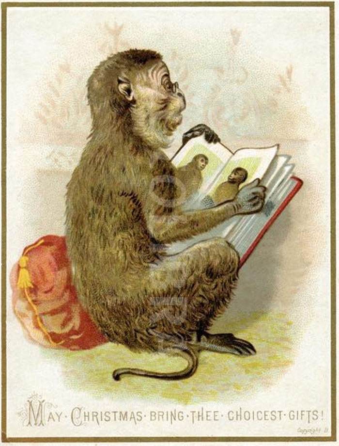 With Some Of These Cards, All You Can Do Is Ask, “Why?”