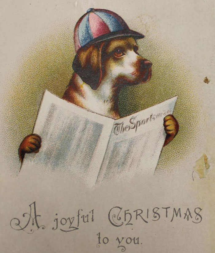 This Is Their Way Of Telling You That Your Dog Blew All The Christmas Money At The Racetrack