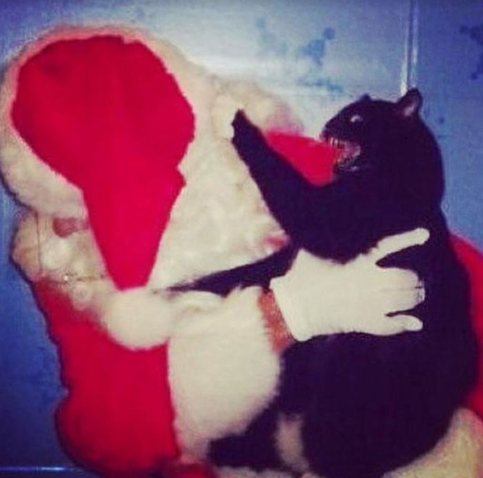 Kitty Has Had It With Your "Merry Christmas!" Crap