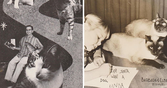 Before Photoshop, People Used To Make Homemade Christmas Cards, And These 36 From The 1930s-1960s Are The Ones That Have Caught My Eye