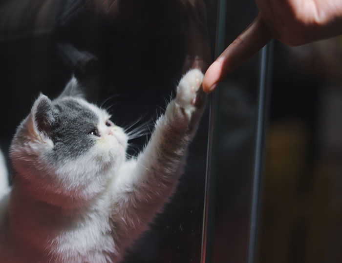 40 Wholesome "Green Flags" That People Noticed In Their Dates That Made Them Want To Go On Another Date