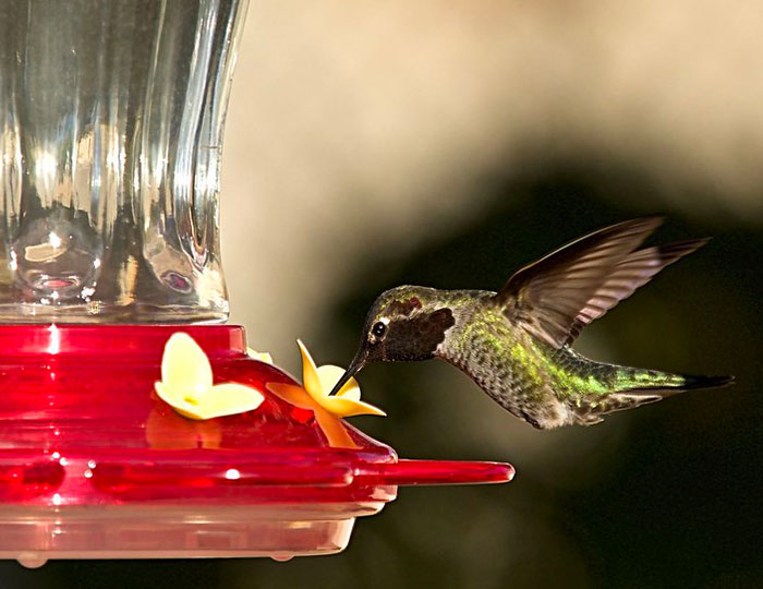 40 Wholesome "Green Flags" That People Noticed In Their Dates That Made Them Want To Go On Another Date