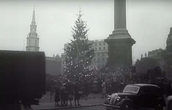 30 Wholesome Historical Facts They Probably Didn’t Teach You In School, As Shared By People In This Thread