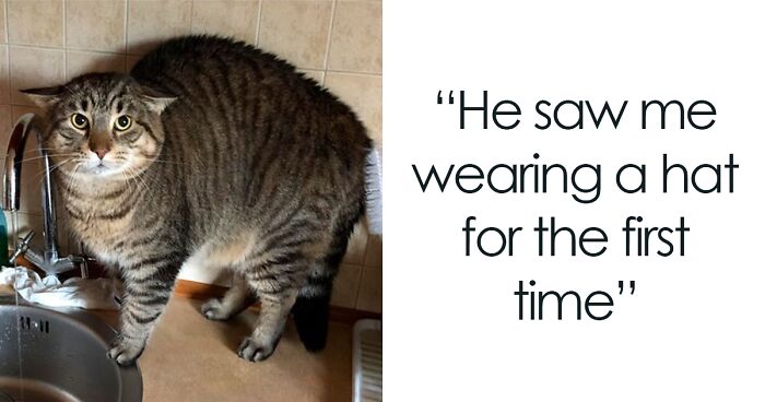 50 Wholesome Memes As Shared By This Page To Brighten Up Your Day (New Pics)