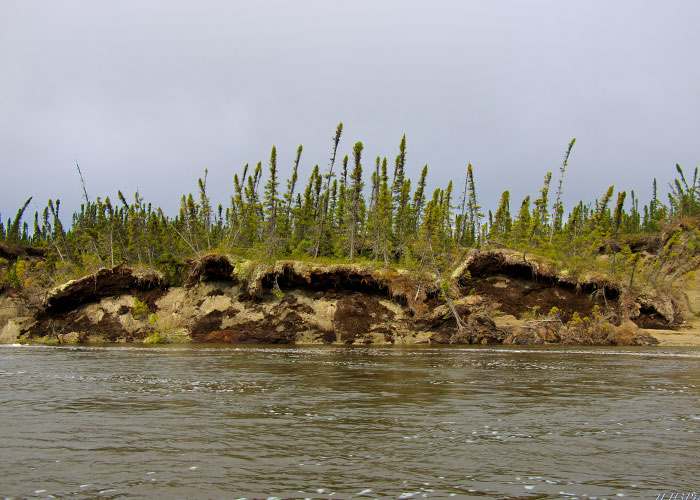 30 Times People Made The Worst Business Decisions Ever, As Shared In This Online Thread