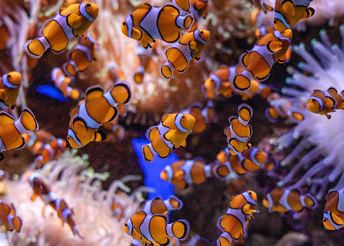 30 Times People Made The Worst Business Decisions Ever, As Shared In This Online Thread