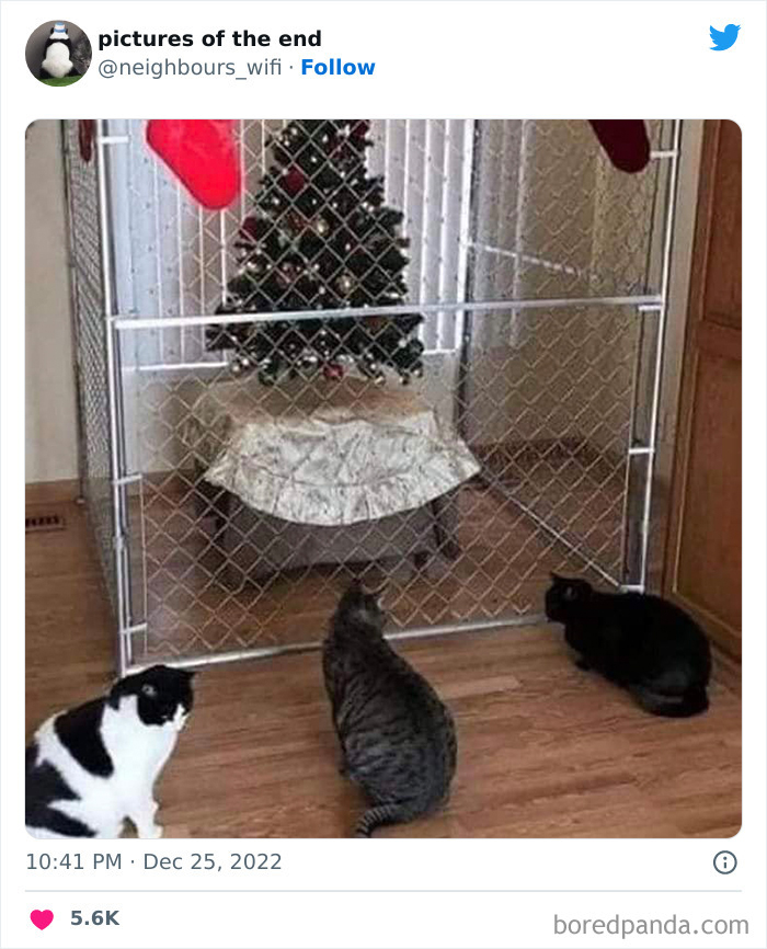 50 Funny And Bizarre Photos Shared On The "Pictures Of The End" Twitter Page (New Pics)