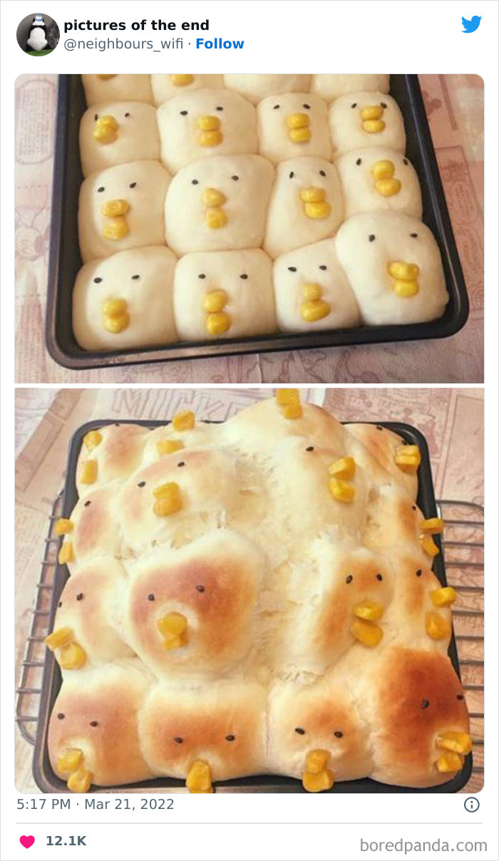 50 Funny And Bizarre Photos Shared On The "Pictures Of The End" Twitter Page (New Pics)