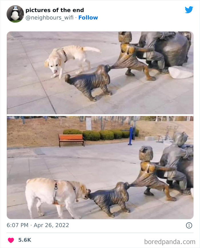 50 Funny And Bizarre Photos Shared On The "Pictures Of The End" Twitter Page (New Pics)