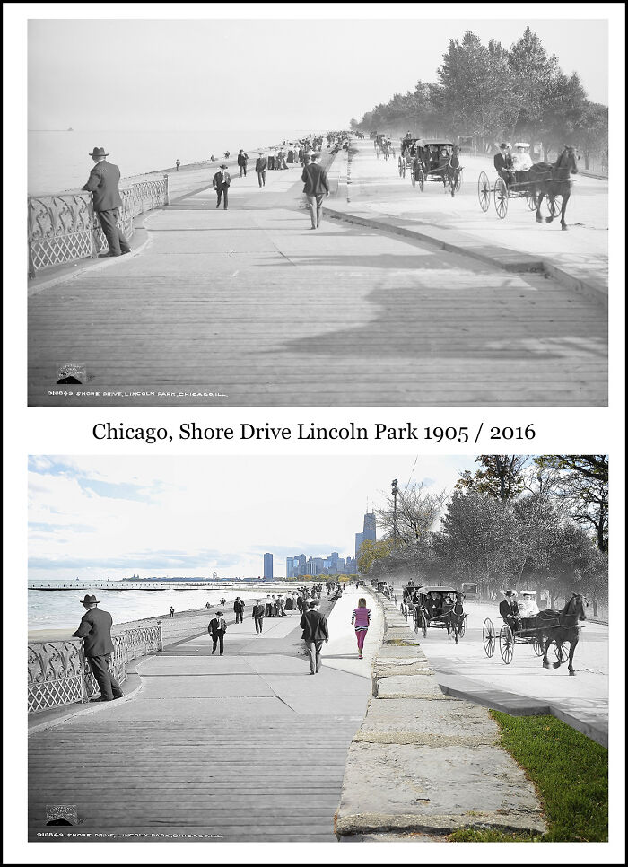 Half black and white historical image combined with recent color photo of Chicago Shore Drive Lincoln Park showing changes over time.