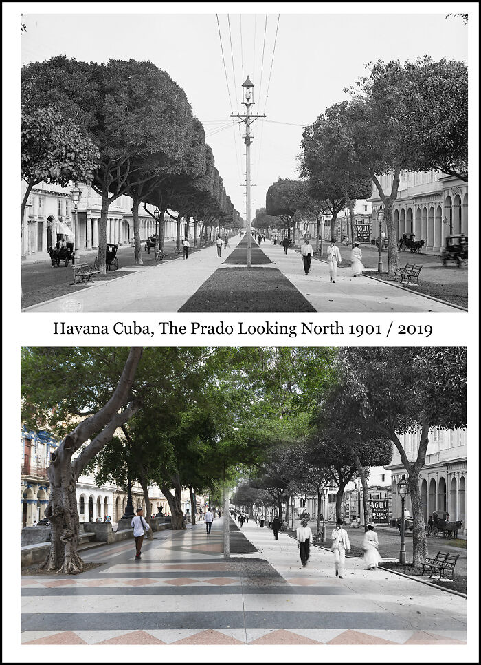 Historical and recent images combined showing The Prado street in Havana Cuba with changes over time.