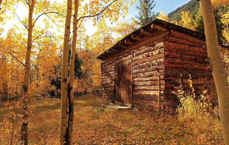 Reckless Abandon: The American West